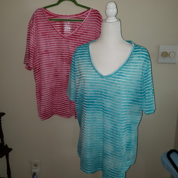 TERRA & SKY  2 Tees.  2x/3x - Picture 3 of 3